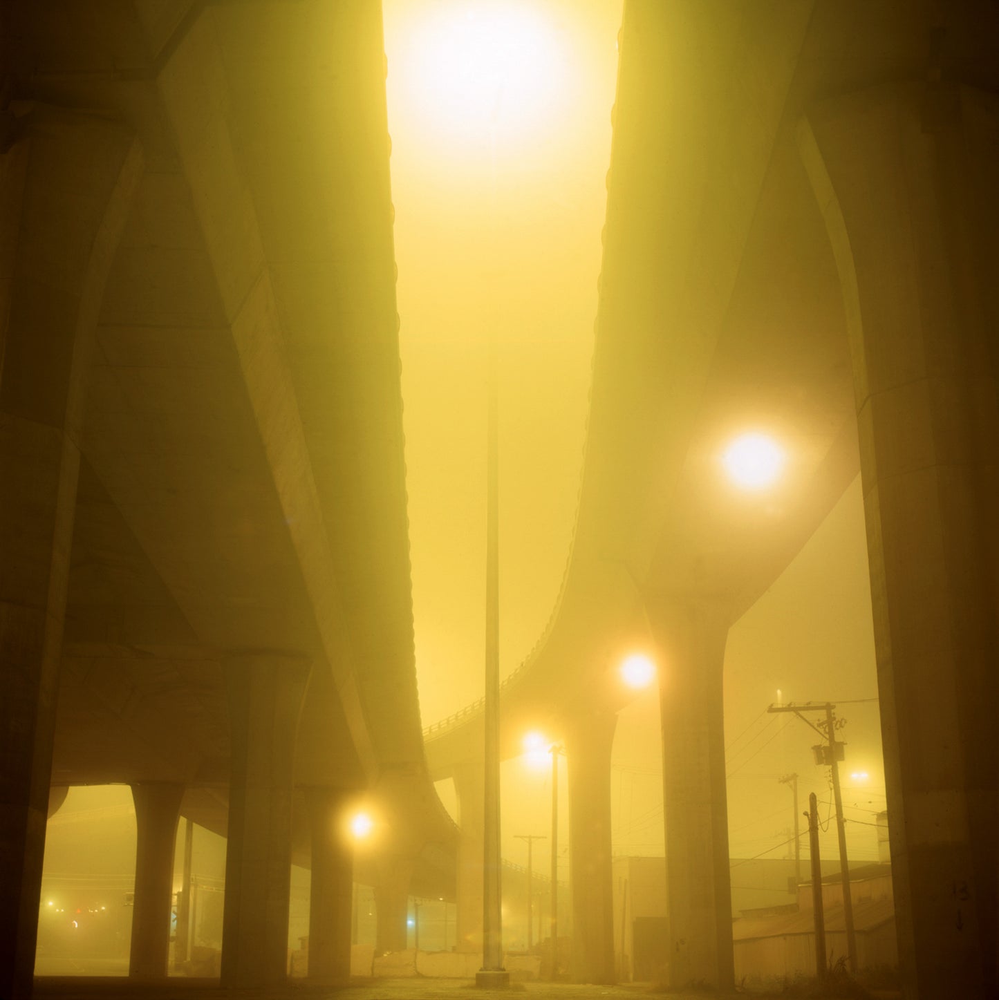 The Zone (6)